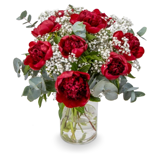 Kytice červených pivoněk